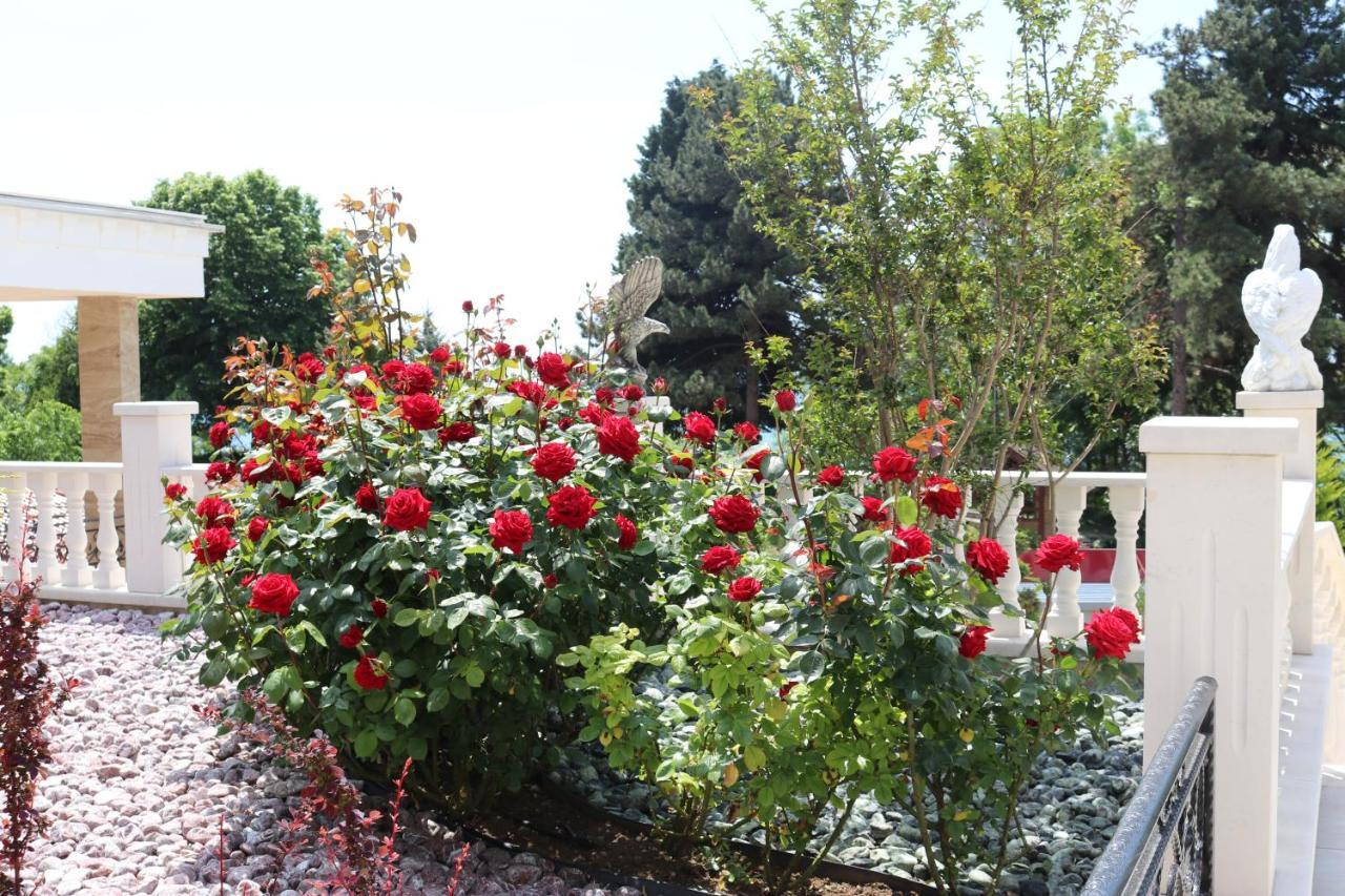 Valencia Gardens Luxury Nesebar